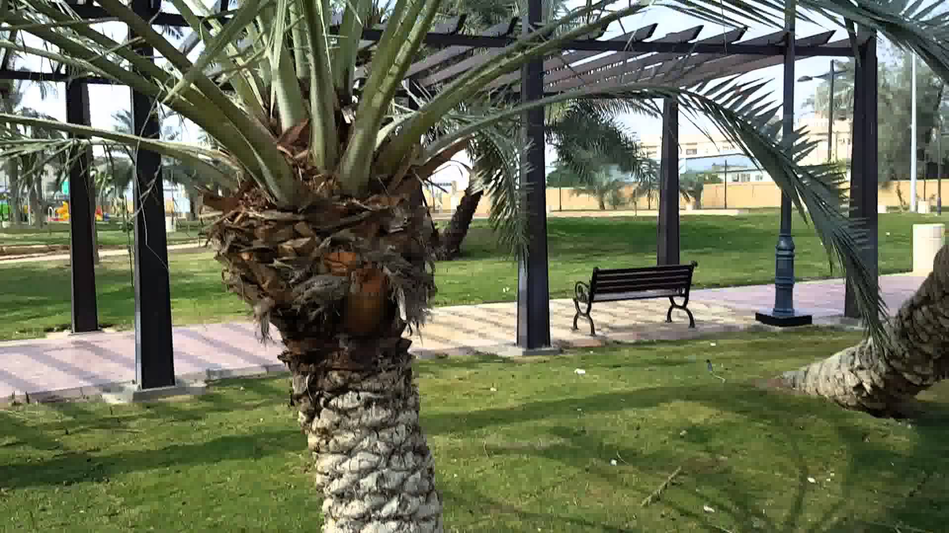 AL Wadi Park